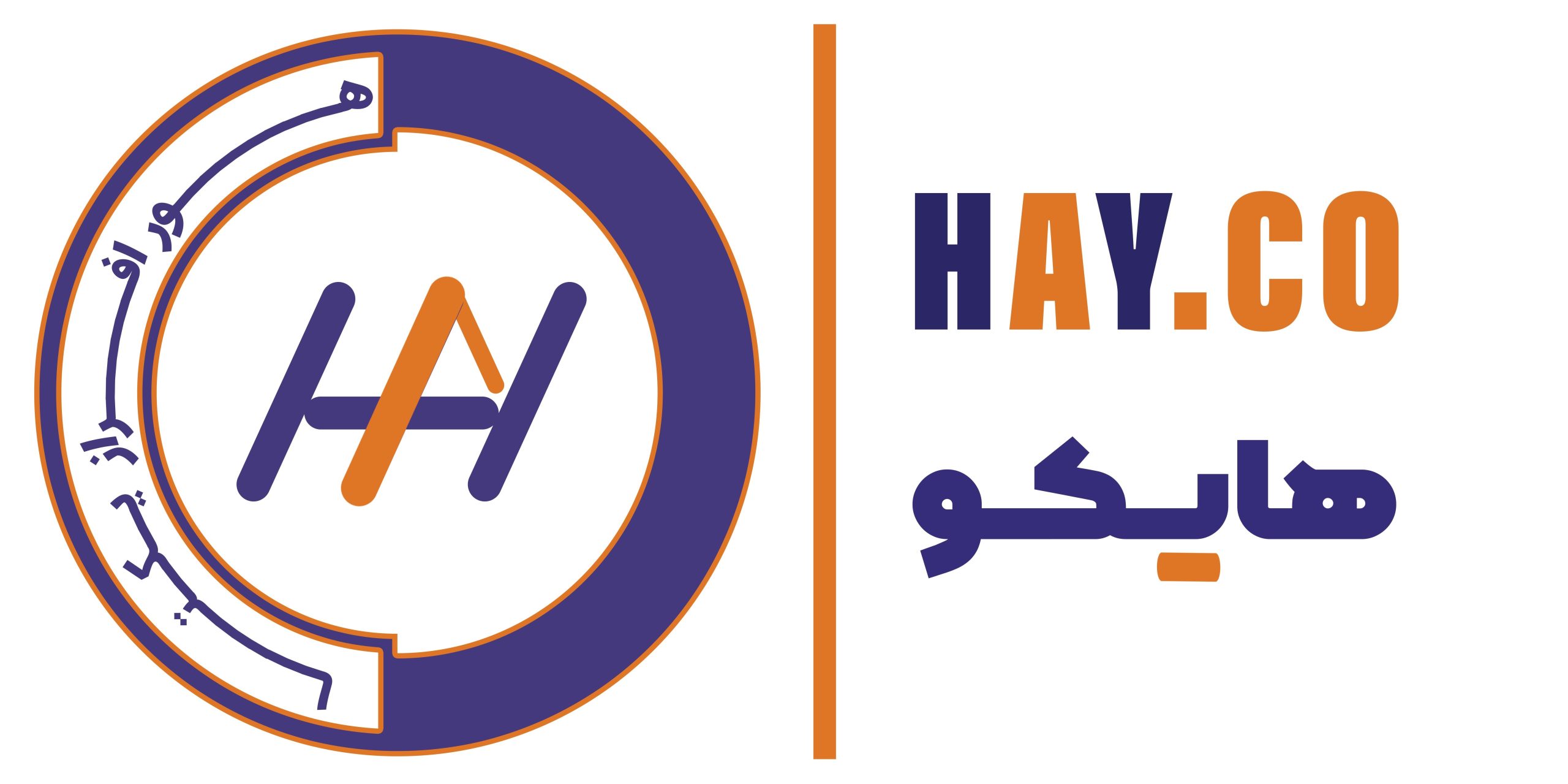 hayco logo